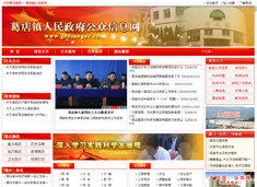 武漢市陸叁玖科技 專業網站建設與軟件開發服務